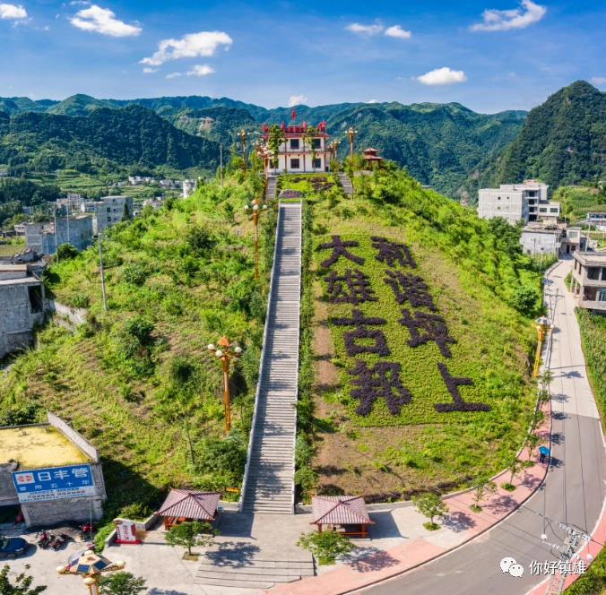 篮球青训营中的体能训练方案有哪些?_0